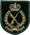 Malaysian Army Badges